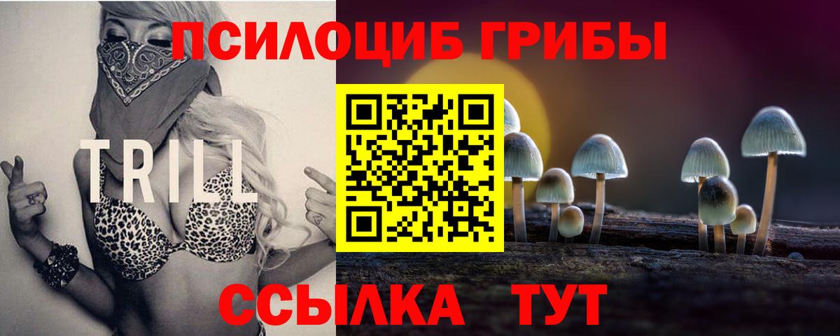 Галлюциногенные грибы Psilocybine cubensis Семёнов