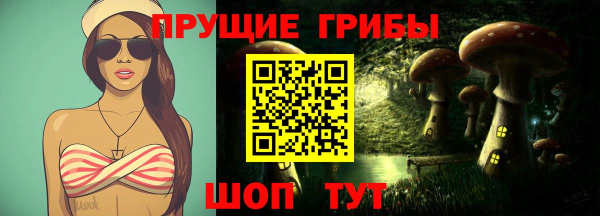 Галлюциногенные грибы мухоморы  Псилоцибиновые грибы GOLDEN TEACHER  Семёнов  купить наркотик  Вход с VPN 